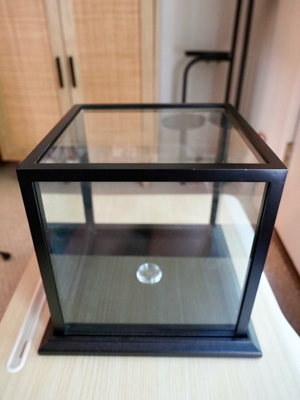 Black Glass Basketball Display Case with Wooden Base
